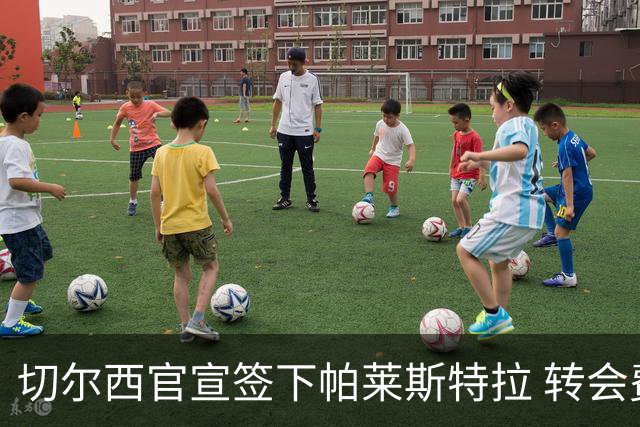 切尔西官宣签下帕莱斯特拉 转会费超5500万欧签约7年