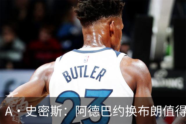 A·史密斯：阿德巴约换布朗值得热火考虑 但这会伤了阿德巴约的心